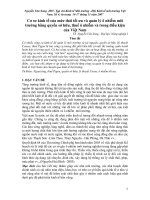 Tài liệu Báo cáo 