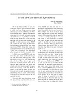 Tài liệu Báo cáo 