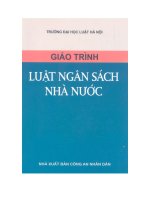Tài liệu GIÁO TRÌNH LUẬT NGÂN SÁCH NHÀ NƯỚC docx