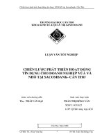 CHIẾN LƯỢC PHÁT TRIỂN HOẠT ĐỘNG TÍN DỤNG CHO DOANH NGHIỆP VỪA VÀ NHỎ TẠI SACOMBANK - CẦN THƠ
