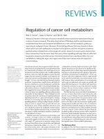 Tài liệu Regulation of cancer cell metabolism docx