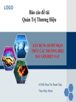xây dựng sơ đồ nhận thức cho các thương hiệu dầu gội