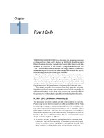 Tài liệu Plant physiology - Chapter 1 Plant Cells doc