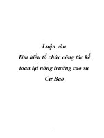 Tìm hiểu tổ chức công tác kế toán tại nông trường cao su Cư Bao