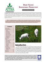 Tài liệu DAIRY GOATS: SUSTAINABLE PRODUCTION potx
