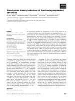 Tài liệu Báo cáo khoa học: Steady-state kinetic behaviour of functioning-dependent structures docx