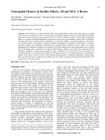 Tài liệu Visuospatial Memory in Healthy Elderly, AD and MCI: A Review doc