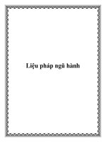 Tài liệu Liệu pháp ngũ hành docx