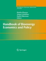 Tài liệu HANDBOOK OF BIOENERGY ECONOMICS AND POLICY pdf
