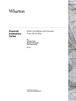 Tài liệu Bank Consolidation and Consumer Loan Interest Rates pdf