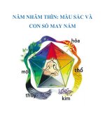 Tài liệu NĂM NHÂM THÌN: MÀU SẮC VÀ CON SỐ MAY NẮM pdf