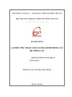 Lập biểu phụ thuộc chất lượng kênh trong các hệ thống LTE