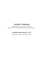 Tài liệu Aesthetic Computing Dagstuhl Seminar Report Nº 348 ppt