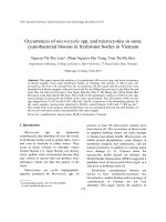 Tài liệu Báo cáo 