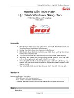 Hướng Dẫn Thực HànhLập Trình Windows Nâng Cao