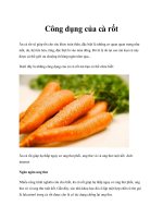 Tài liệu Công dụng của cà rốt ppt