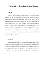 Tài liệu Phân tích vẻ đẹp của con sông Hương pot