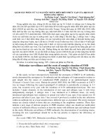 Tài liệu BÁO CÁO 