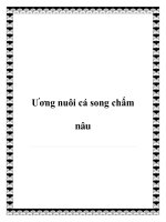 Tài liệu Ương nuôi cá song chấm nâu pptx