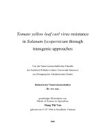 tomato yellow leaf curl virus resistance in solanum lycopersicum through transgenic approaches