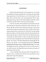 hoàn thiện hệ thống kênh tiêu thụ tại công ty cổ phần kim khí hà nội