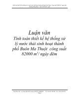 Tài liệu Tính toán thiết kế hệ thống xử lý nước thải sinh hoạt thành phố Buôn Ma Thuột công suất 82000 m3/ ngày đêm ppt