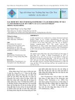 Tài liệu XÁC ĐỊNH MỨC ĐỘ CỐ ĐỊNH ĐẠM SINH HỌC CỦA BURKHOLDERIA SP. KG1 VÀ PSEUDOMONAS SP. BT1 TRÊN CÂY LÚA CAO SẢN OM2517 TRỒNG NGOÀI ĐỒNG pdf