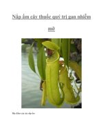 Tài liệu Nắp ấm cây thuốc quý trị gan nhiễm mỡ pptx