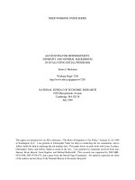 Tài liệu ACCOUNTING FOR HETEROGENEITY, DIVERSITY AND GENERAL EQUILIBRIUM IN EVALUATING SOCIAL PROGRAMS pptx