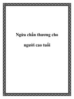 Tài liệu Ngừa chấn thương cho người cao tuổi pot