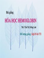Tài liệu Hóa học HEMOGLOBIN pptx