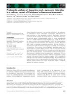 Tài liệu Báo cáo khoa học: Proteomic analysis of dopamine and a-synuclein interplay in a cellular model of Parkinson’s disease pathogenesis docx