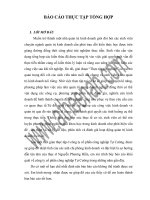 Bao cao thuc tap tong hop công ty  tự cường