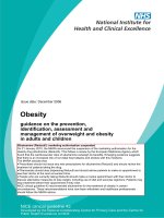 Tài liệu Obesity guidance on the prevention, identification, assessment and management of overweight and obesity in adults and children ppt