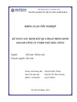 Kế toán xác định kết quả kinh doanh tại công ty TNHH Việt Hóa Nông