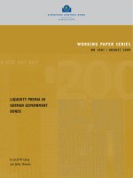 Tài liệu Liquidity Premia in german government bondS ppt