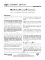 Tài liệu The Diet and Cancer Connection ppt