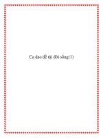 Tài liệu Ca dao đề tài đời sống pptx