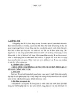 Tài liệu Đề tài: Quản lý hành chính nhà nước pdf