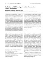 Tài liệu Báo cáo khoa học: Puriﬁcation and cDNA cloning of a cellulase from abalone Haliotis discus hannai ppt