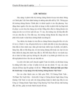 phân tích, đánh giá hiệu quả thực thi danh mục và áp dụng trên thị trường chứng khoán việt nam