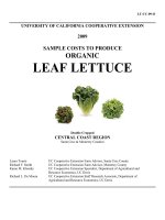 Tài liệu UNIVERSITY OF CALIFORNIA COOPERATIVE EXTENSION 2009 SAMPLE COSTS TO PRODUCE ORGANIC LEAF LETTUCE doc