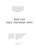 báo cáo thực tập nhận thức công ty tnhh xây dựng bách việt