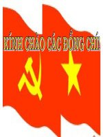 Trình chiếu công tác tổ chức của TCCSĐ