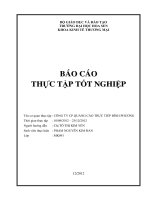 báo cáo thực tập nhận thức công ty cp quảng cáo trực tiếp bình phương
