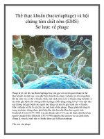 Tài liệu Thể thực khuẩn (bacteriaphage) và hội chứng tôm chết sớm (EMS) Sơ lược về phage ppt