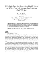 Hiệp định về trợ cấp và các biện pháp đối kháng của WTO   pháp luật của một số nước và thực tiễn ở việt nam