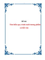 tìm hiểu quy trình nuôi tương phẩm cá hồi vân