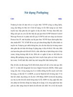 Tài liệu Sử dụng Pathping pptx