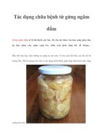 Tài liệu Tác dụng chữa bệnh từ gừng ngâm dấm pptx